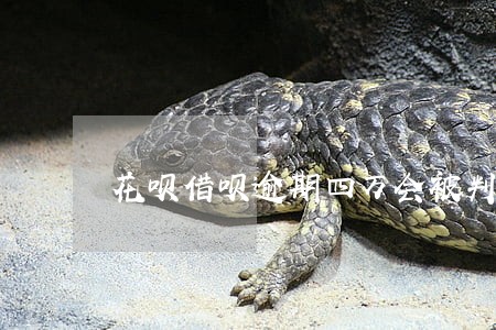 花呗借呗逾期四万会被判刑吗