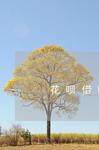 花呗借呗逾期四个月 花呗借呗逾期四个月