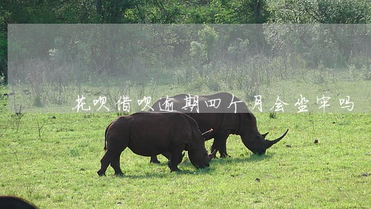 花呗借呗逾期四个月会坐牢吗 花呗借呗逾期四个月会坐牢吗