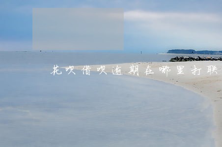 花呗借呗逾期在哪里打联系人电话 花呗借呗逾期在哪里打联系人电话