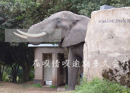 花呗借呗逾期多久会打电话给你 花呗借呗逾期多久会打电话给你