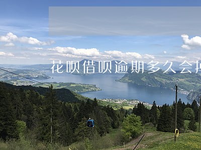 花呗借呗逾期多久会掉芝麻分 花呗借呗逾期多久会掉芝麻分
