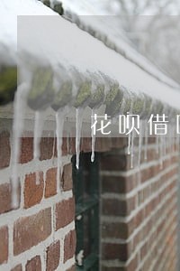 花呗借呗逾期多久会自动消除 花呗借呗逾期多久会自动消除