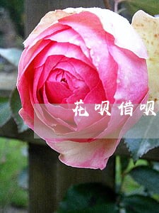 花呗借呗逾期多久会被打电话