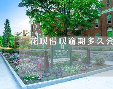 花呗借呗逾期多久会进黑名单