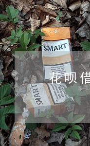 花呗借呗逾期多久外访上门 花呗借呗逾期多久外访上门