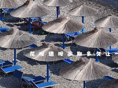 花呗借呗逾期多久让一次性还清
