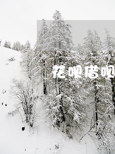 花呗借呗逾期多少会上门来收啊 花呗借呗逾期多少会上门来收啊