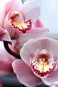 花呗借呗逾期大半年