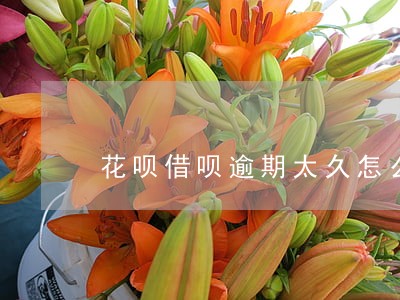 花呗借呗逾期太久怎么协商