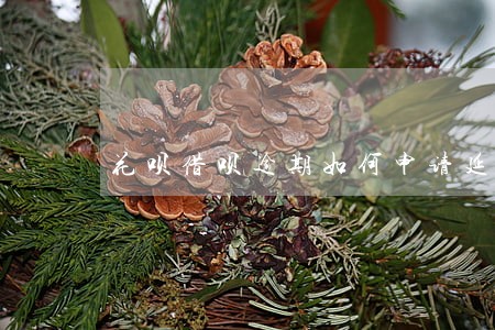 花呗借呗逾期如何申请延期