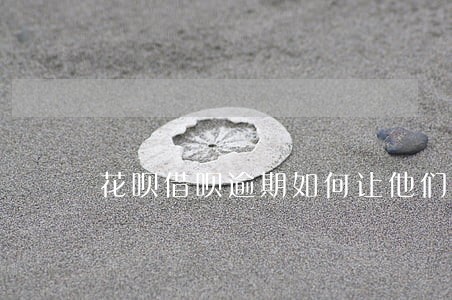 花呗借呗逾期如何让他们别打电话
