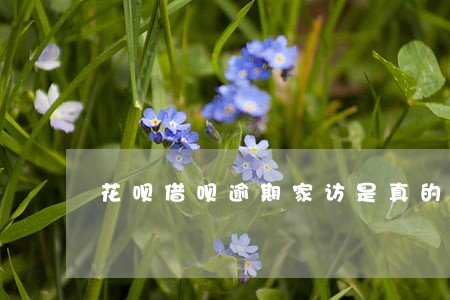 花呗借呗逾期家访是真的吗