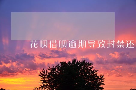 花呗借呗逾期导致封禁还能再开吗 花呗借呗逾期导致封禁还能再开吗