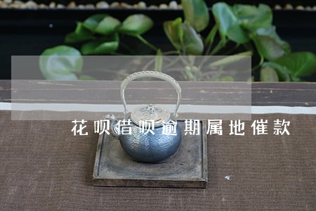 花呗借呗逾期属地催款 花呗借呗逾期属地催款
