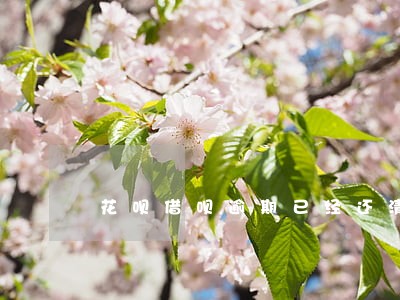 花呗借呗逾期已经还清 花呗借呗逾期已经还清