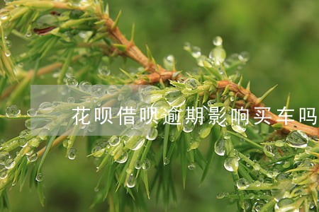 花呗借呗逾期影响买车吗 花呗借呗逾期影响买车吗