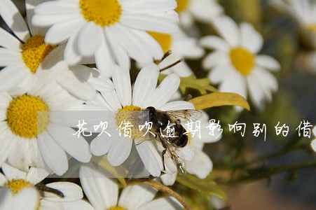 花呗借呗逾期影响别的借款平台么 花呗借呗逾期影响别的借款平台么