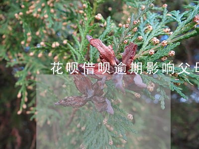 花呗借呗逾期影响父母嘛 花呗借呗逾期影响父母嘛