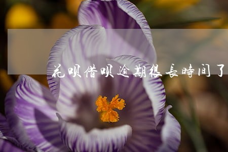 花呗借呗逾期很长时间了怎么协商 花呗借呗逾期很长时间了怎么协商