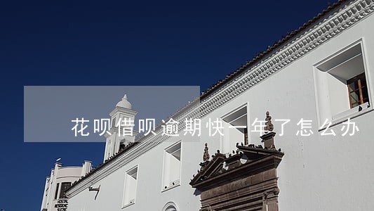 花呗借呗逾期快一年了怎么办 花呗借呗逾期快一年了怎么办