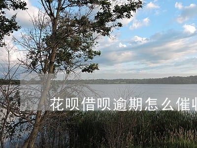 花呗借呗逾期怎么催收的