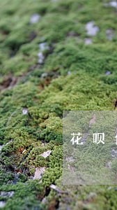 花呗借呗逾期怎么办会成黑名单吗 花呗借呗逾期怎么办会成黑名单吗