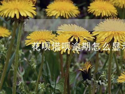花呗借呗逾期怎么显示 花呗借呗逾期怎么显示