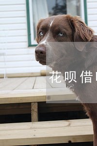 花呗借呗逾期怎么查询 花呗借呗逾期怎么查询