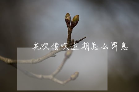 花呗借呗逾期怎么罚息 花呗借呗逾期怎么罚息