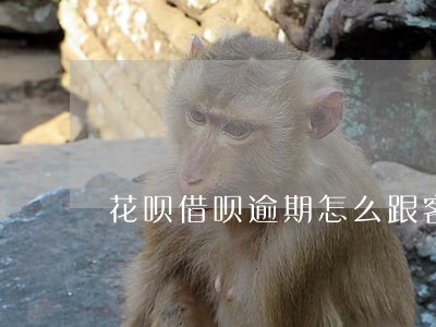 花呗借呗逾期怎么跟客服协商 花呗借呗逾期怎么跟客服协商