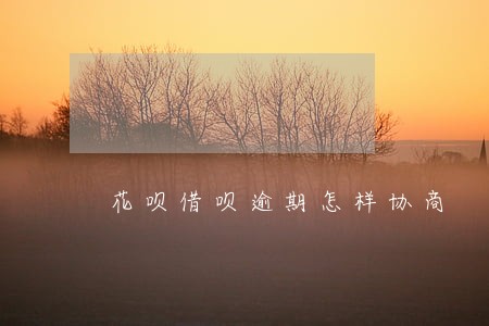 花呗借呗逾期怎样协商 花呗借呗逾期怎样协商