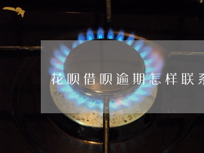 花呗借呗逾期怎样联系协商 花呗借呗逾期怎样联系协商
