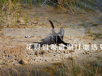 花呗借呗逾期打电话到公司 花呗借呗逾期打电话到公司
