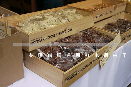 花呗借呗逾期打电话来了 花呗借呗逾期打电话来了