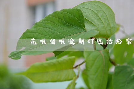 花呗借呗逾期打电话给家人 花呗借呗逾期打电话给家人