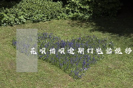 花呗借呗逾期打电话说移交当地 花呗借呗逾期打电话说移交当地