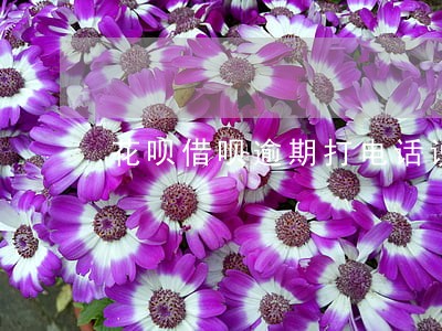 花呗借呗逾期打电话说要上门 花呗借呗逾期打电话说要上门