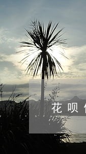 花呗借呗逾期打电话说诉讼材料 花呗借呗逾期打电话说诉讼材料