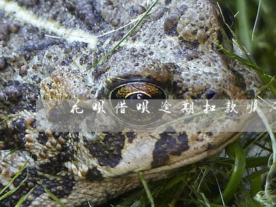 花呗借呗逾期扣款顺序 花呗借呗逾期扣款顺序