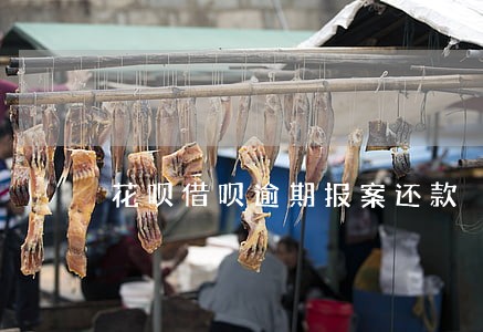 花呗借呗逾期报案还款