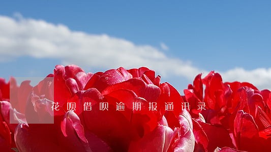 花呗借呗逾期报通讯录 花呗借呗逾期报通讯录