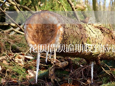 花呗借呗逾期收到应诉通告 花呗借呗逾期收到应诉通告