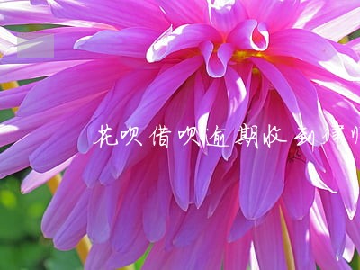 花呗借呗逾期收到律师函备案短信 花呗借呗逾期收到律师函备案短信