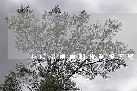 花呗借呗逾期收到报案短信 花呗借呗逾期收到报案短信