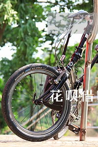 花呗借呗逾期有钱先扣哪个