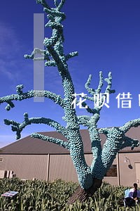 花呗借呗逾期未还清能办理车贷吗 花呗借呗逾期未还清能办理车贷吗