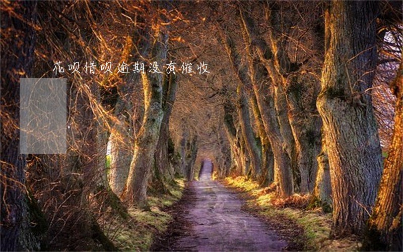花呗借呗逾期没有催收 花呗借呗逾期没有催收