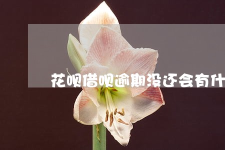 花呗借呗逾期没还会有什么后果