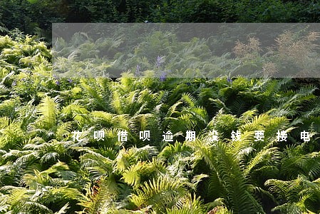 花呗借呗逾期没钱要接电话么